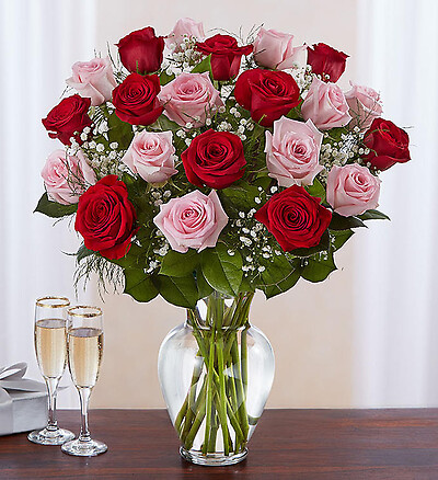 Pink &amp; Red - 18 Count