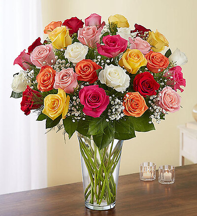 Ultimate Elegance 2 Dozen Roses