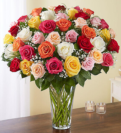 Ultimate Elegance 2 Dozen Roses