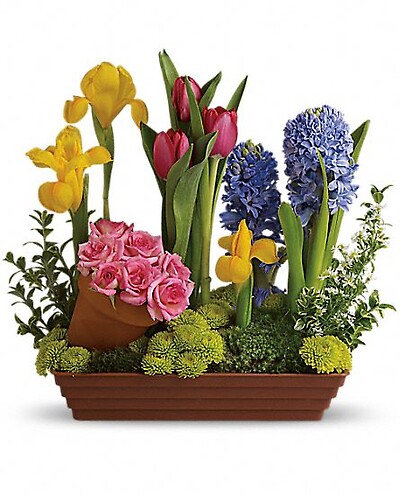 Spring Favorites